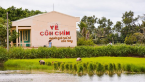 TOUR CỒN CHIM TRÀ VINH 1 NGÀY: TRẢI NGHIỆM DU LỊCH CỘNG ĐỒNG